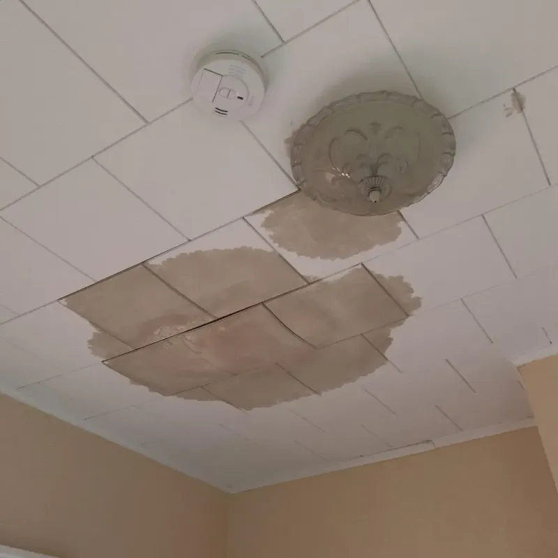 Ceiling Water Damage Repair in Curwensville, PA