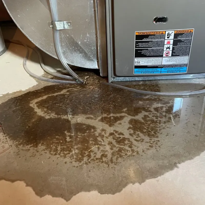 Pipe Burst and Leak Restoration in Curwensville, PA