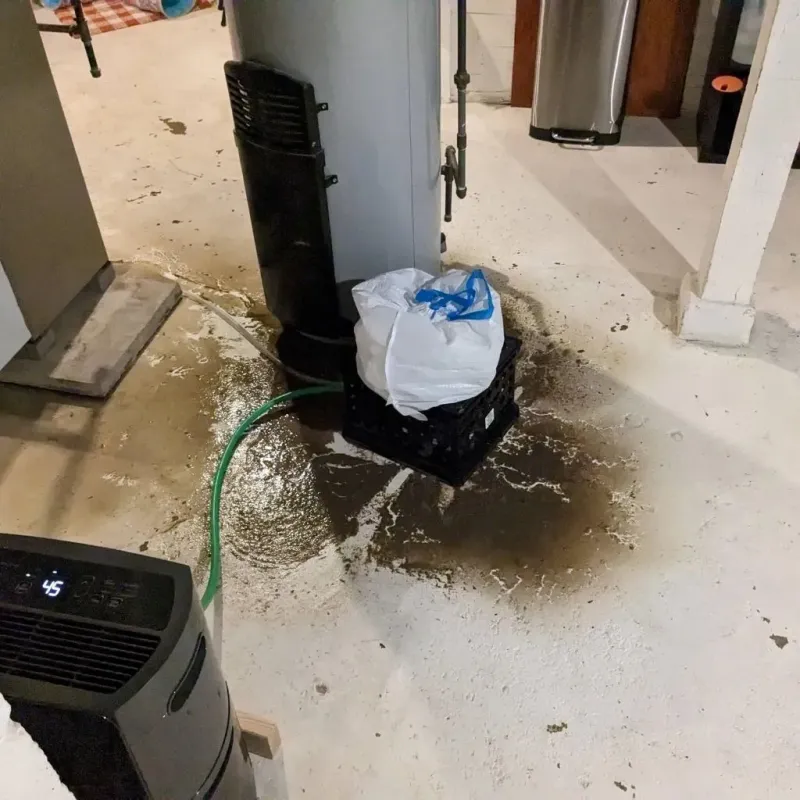 Sewage Backup Cleanup Service in Curwensville, PA
